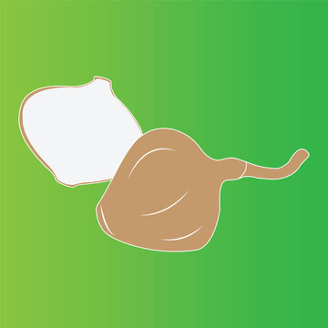 Minimalist vector illustration of a fresh jicama tuber against a green background
