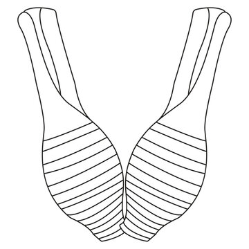 Minimalist vector illustration of fresh taro roots