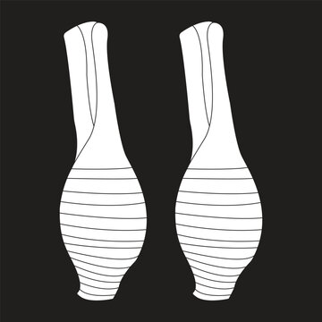 Minimalist vector illustration of fresh taro roots