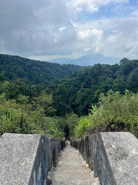 High angle view of concrete stairs leading down to dense green mountain forest under cloudy sky