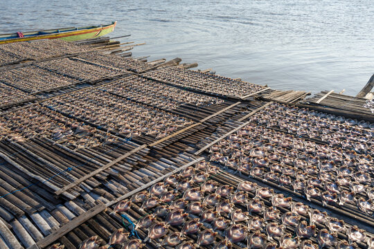Drying fish on traditional floating house, Lake Tempe, Indonesia
