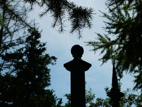 Historic wrought iron fence with spherical post finial, pointed decorative elements and curved ornaments appearing as a dark silhouette against blue sky. Overhanging conifer branches frame the view.