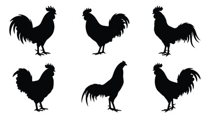 Black Rooster Silhouettes in Standing Poses © Munna