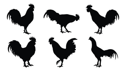 Rooster Silhouettes in Six Poses © Munna