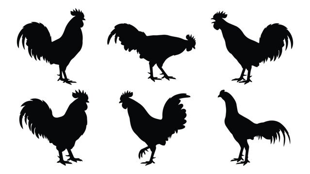 Rooster Silhouettes in Six Poses