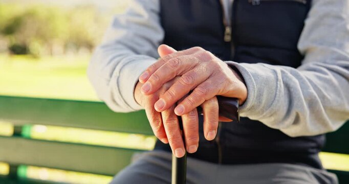 Senior, man and hands with cane on park bench for outdoor nostalgia, past moment or memory. Elderly, male person or thinking with walking stick for mobility, reminisce or medical aid in nature