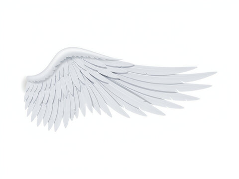 Single white feather wing angled gracefully with soft lighting on transparent background