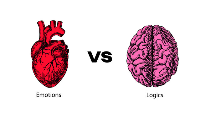 Human sketch heart versus brain, emotions versus logic collage. Psychology, emotional intelligence, human behavior, educational concept banner. Hand drawn isolated vector illustration.