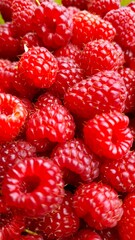 Fresh ripe raspberries served on a plate © Iryna