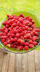 Fresh ripe raspberries served on a plate © Iryna