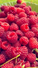 Fresh ripe raspberries served on a plate © Iryna