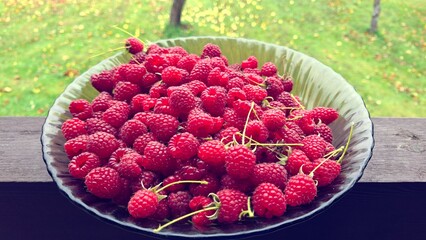 Fresh ripe raspberries served on a plate © Iryna