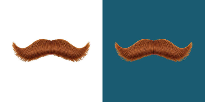 Detailed ginger mustache for gentleman style concept art