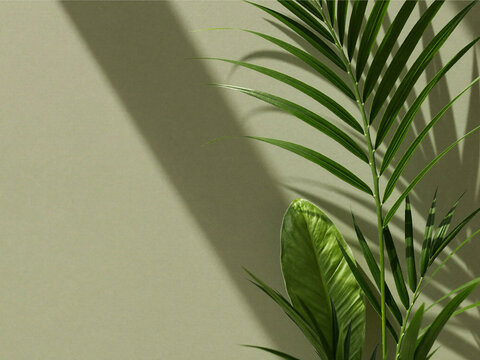 Green palm leaves with diagonal shadow on olive green wall, minimal nature background with copy space
