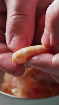Hands Holding Peeled Shrimp Close-Up Seafood Preparation Process