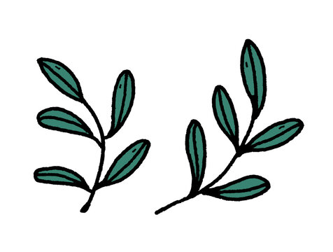 Hand-drawn icon illustration of two olive branches with green leaves, isolated on transparent background for spa branding, botanical cosmetics packaging, healthy food, herbal craft UI, game inventory.