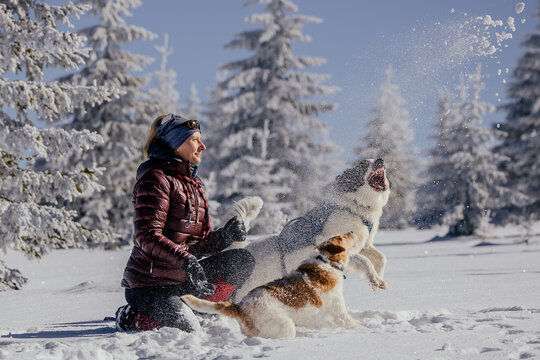 Woman with dogs playing outdoors in winter in great snow. 