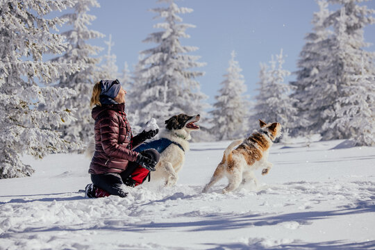 Woman with dogs playing outdoors in winter in great snow. 