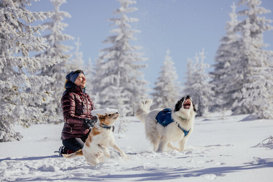 Woman with dogs playing outdoors in winter in great snow. 