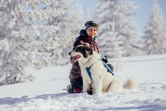 Woman with dogs playing outdoors in winter in great snow. 