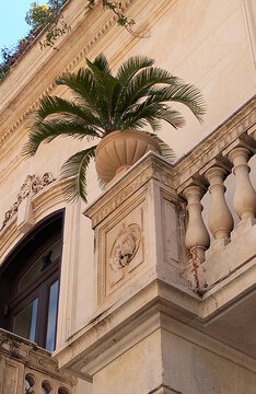 Un balc&oacute;n con una maceta de piedra con una palmera en su interior