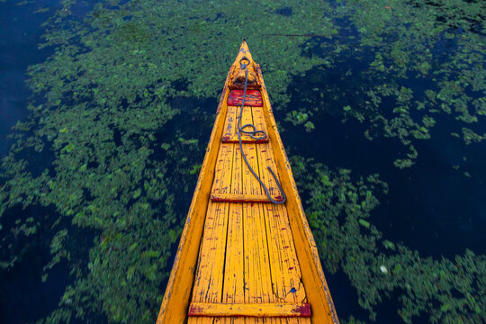 Bow of a yellow wooden shikara boat gliding over water with floating plants, Jammu and Kashmir, Srinagar, India