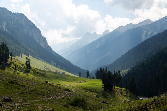 Green Himalayan valley with forested slopes and sun rays through clouds, Jammu and Kashmir, Aru Valley, India