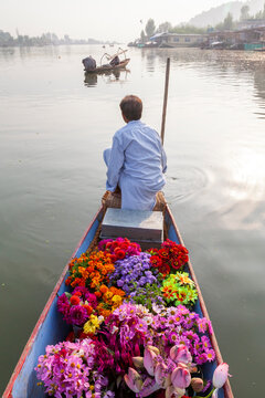 Flower seller rowing a shikara loaded with colorful flowers on Dal Lake, Jammu and Kashmir, Srinagar, India