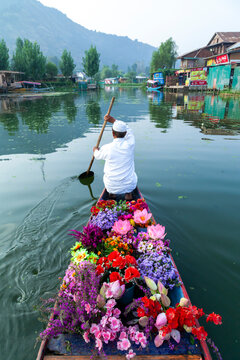Flower seller rowing his flower boat along a canal of Dal Lake, Jammu and Kashmir, Srinagar, India