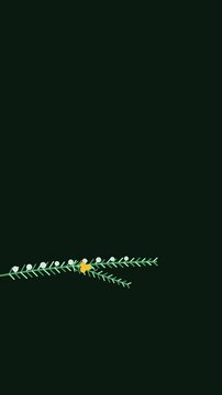 Animated festive single branch vertical gentle swing in a minimal flat vector style, green and emerald on a dark background. Smooth 4K seamless loop in vertical 9:16 format with calm motion and plenty