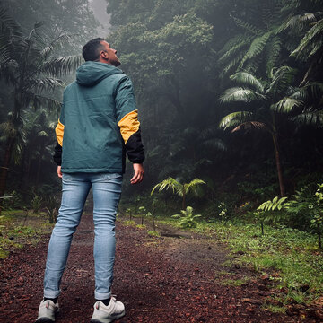 Explorer looking up in misty lush jungle forest