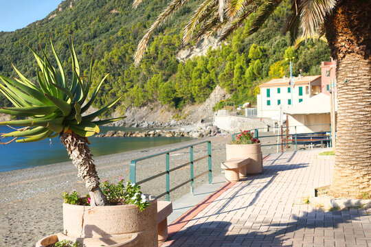 Riva Trigoso promenade aloe beach Italy. Autumn coastal relaxation sunny calm mood. Mediterranean travel destination resort guide.