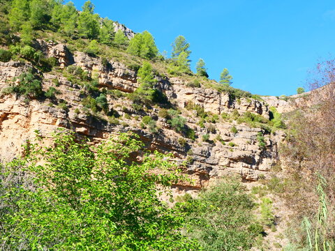 Layered limestone cliff with green pine trees under bright blue sky. Ideal for geography education website header, mountain trekking tour flyer or outdoor adventure gear catalog