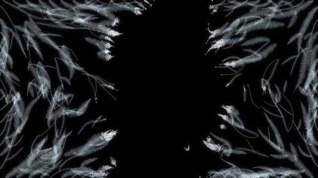 Frost pattern growing from four corners to cover black screen with white feathery ice crystals