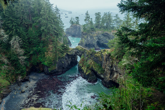 Coastal rock formations and forested cliffs Oregon