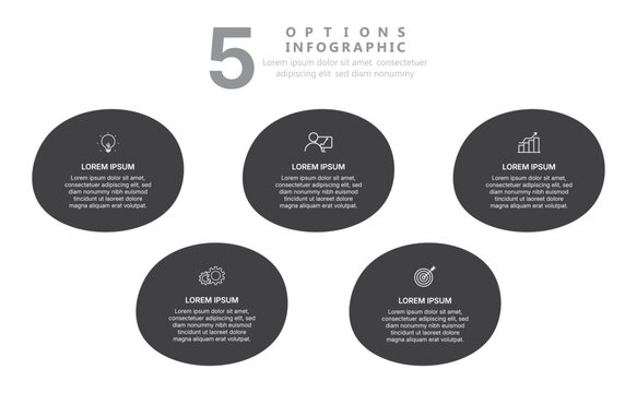 Modern 5 options infographic template with dark grey oval steps, business data visualization, and process flowchart design layout