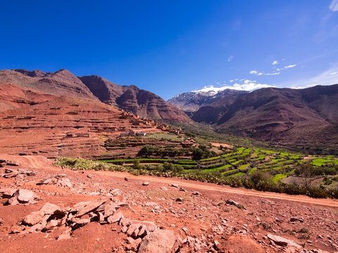 Morocco, Marrakesh-Tensift-El Haouz, Atlas Mountains, Village Anammer, Ourika Valley