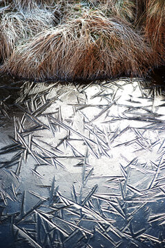Frozen water forms geometric ice patterns near frosted autumn grass