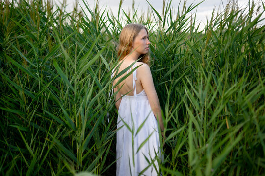 Radiant woman in white dress stands among tall reeds in summer