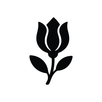 vector illustration of a rose