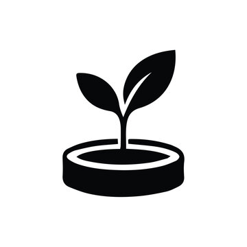 vector plant in a pot