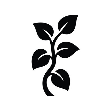 vector illustration of a plant