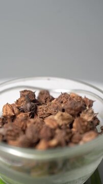 Gokhru &ndash; Tribulus Terrestris, Traditional Indian Ayurvedic Herb Known for Its Spiny Fruits, Herbal Wellness Uses and Botanical Importance