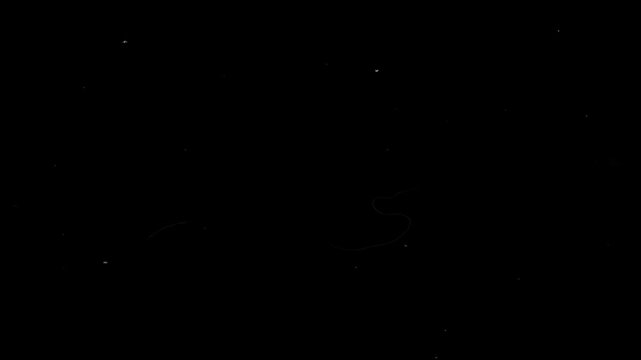 Dust and hair overlay on black background