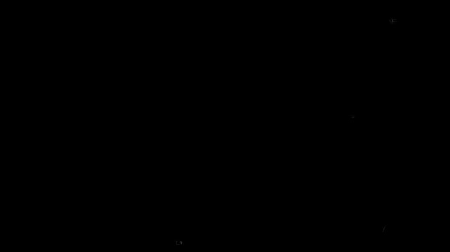 Macro hair lines overlay on black background