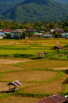 High Angle View of Harvested Rice Fields and Wooden Huts with Mountain Range in Rural Thailand