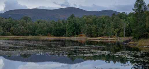 Lochan Mor at Rothiemurchus with Beaver Lodge in the Cairngorms, Scotland © Andrew