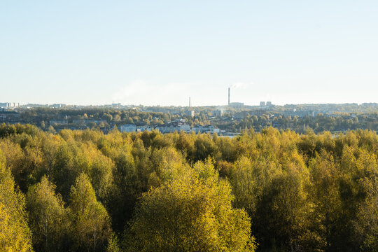 Top view on the slope of the park of trees on the background of the city and the river in autumn season, trees, branches and yellow leaves in foreground