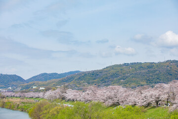 Japan Kyodo Sewaritei Yodogawa Riverside Park © Hua Miao