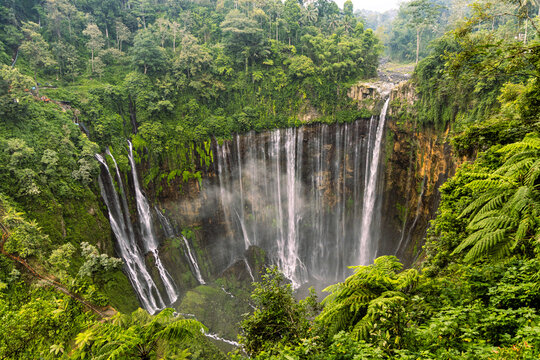 Tumpak Sewu Waterfall in Lumajang, East Java, Indonesia. Hundreds of cascading streams fall from a curved cliff into a lush tropical gorge, surrounded by dense rainforest and rising mist.